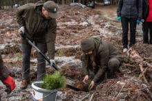 SADZIMY RAZEM Z NATURĄ - ruszyły wiosenne odnowienia